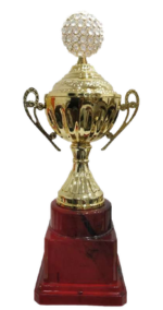 Metal Trophy