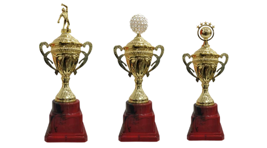 Fiber Trophies by Aarambh Traders