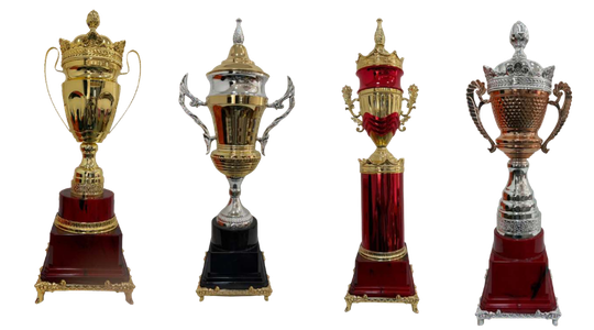 Metal Trophies by Aarambh Traders