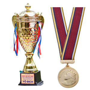 Sports Awards by Aarambh Traders