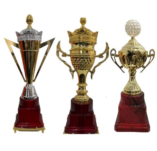 Customized Trophy Designing